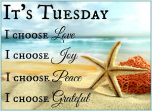 its tuesday quotes