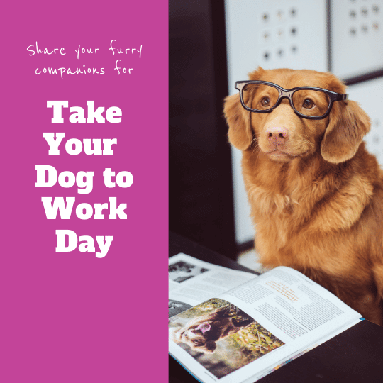 Take Your Dog to Work Day