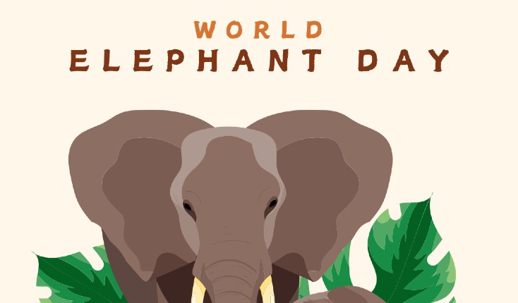 World Elephant Day - OnlyMessages