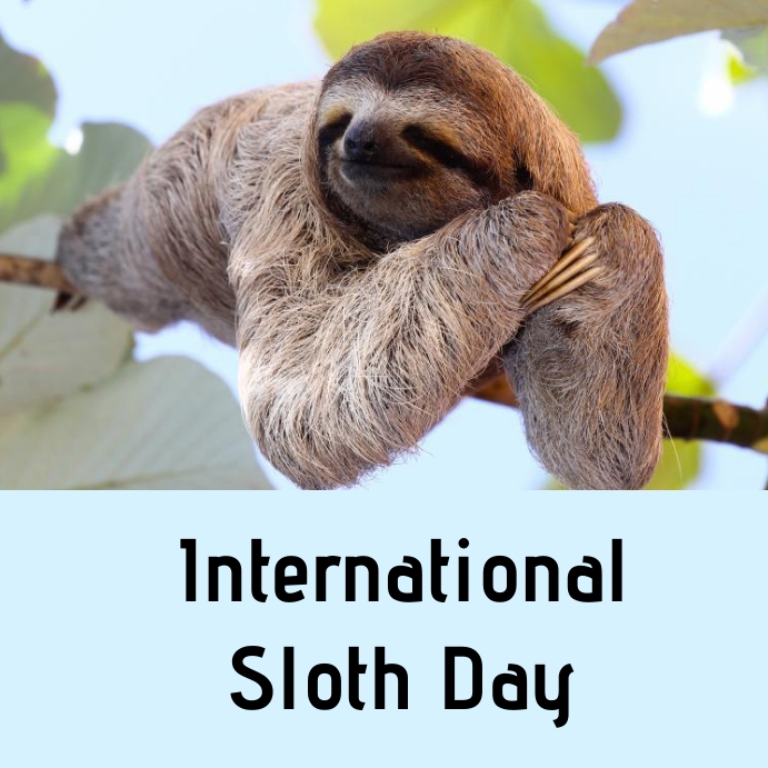 International Sloth Day - OnlyMessages