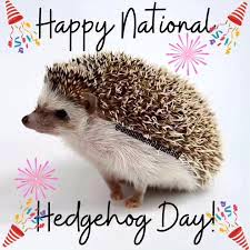 Hedgehog Awareness Week - OnlyMessages