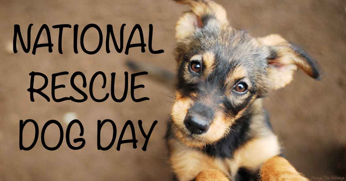 National Rescue Dog Day - OnlyMessages