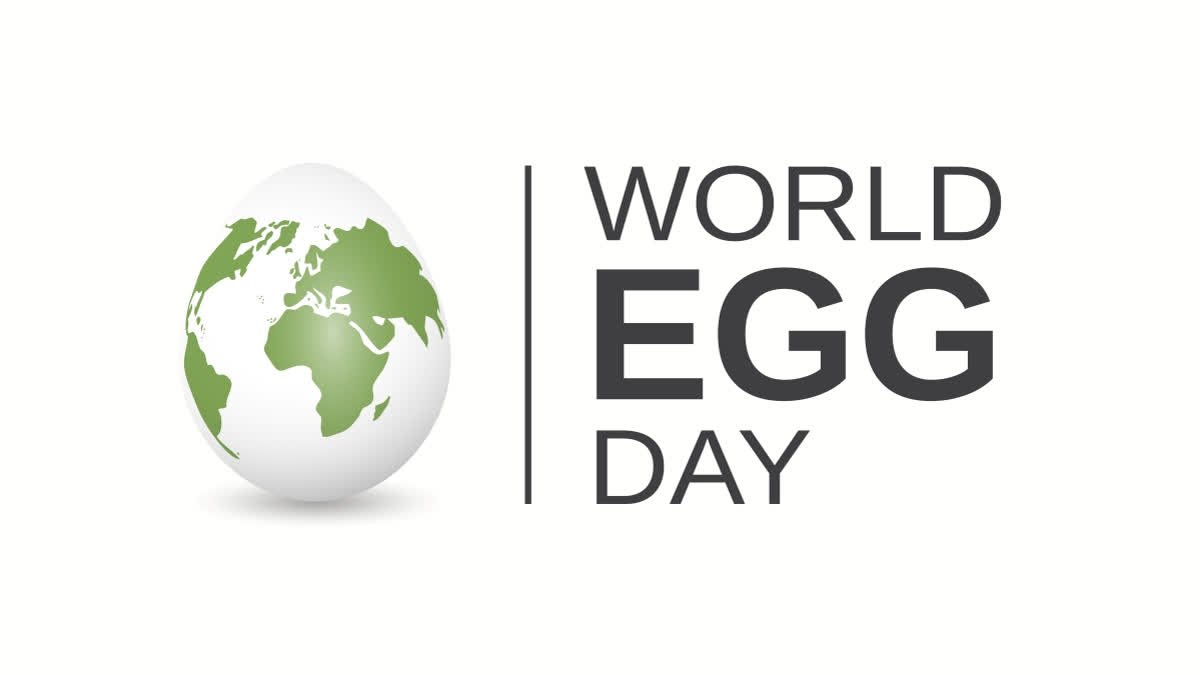 World Egg Day - OnlyMessages